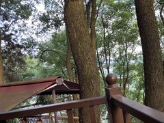-巴倒烫陆派重庆火锅(南山店)