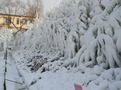 -北京鹿世界主题园