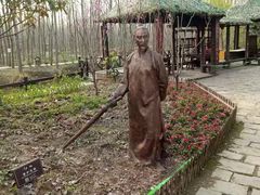 -合肥滨湖国家森林公园