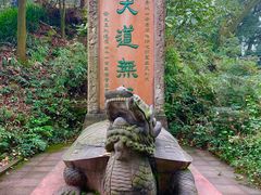-青城山