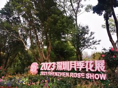 -人民公园(罗湖区)