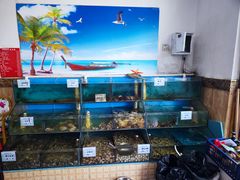 -小叶大馅饺子城