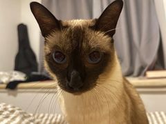 -超级猩猩健身·团课(铁机路迅博店)