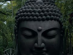 -杭州植物园