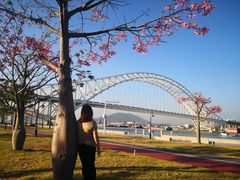 -芒洲湿地公园