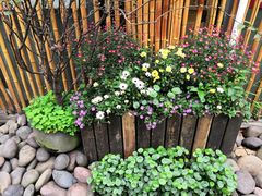 -冰冰龙虾·江湖菜·花园江景餐厅