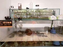 -甜心闲生传统手工冰粉(奎星楼店)