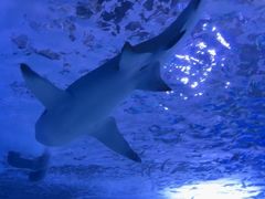 -常州海昌海洋探索馆