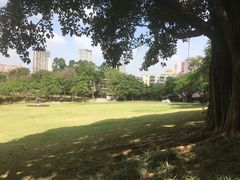 -广州雕塑公园