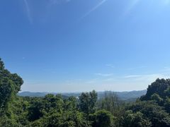 -广州市帽峰山景区
