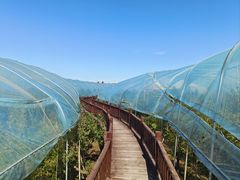 -沾化冬枣生态旅游区