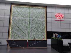 -北京福铃丰瑞比亚迪4S店(花乡店)