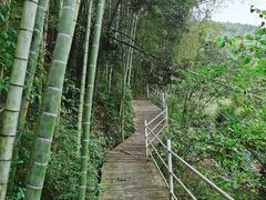 -宁波浙东大竹海景区