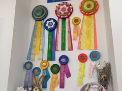 -Husky Go! 哈士奇体验馆·宠物咖啡厅狗咖