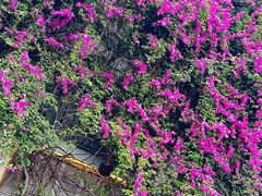 -怡得观滇餐厅·地道昆明菜·1996(海埂大坝店)