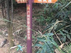 -红山村