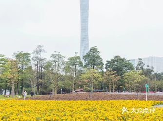 小隐于山 大隐于市宁静而优美的广州二沙岛