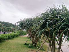 -濑长岛