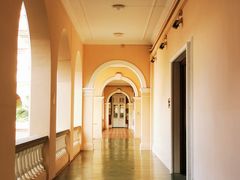 -香港大学