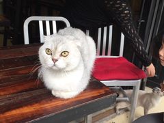 -MIKAKU(万达广场上海宝山店)