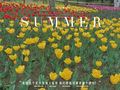 -长春公园(普阳街道)