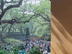 -普陀山风景名胜区-法雨禅寺