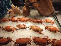 -圆顶阁西餐厅(郑州索菲特国际饭店 )