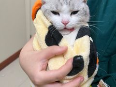 -瑞派康怡24h宠物医院·犬猫医疗中心·微创绝育(瑞景分院)