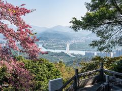 -风云岭森林公园
