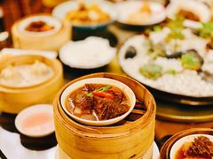 蚝皇酱金钱肚-夏宫中餐厅(香格里拉大酒店)