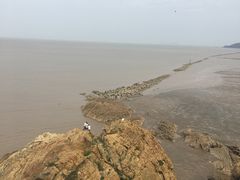 -洋山深水港