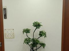 -慈铭体检(北京奥亚分院)