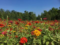-永定河休闲森林公园