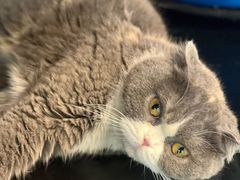 -KingBull私教健身&格斗订制(龙井商业中心店)