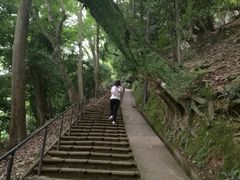 -岚山猴子公园