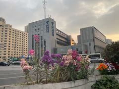 -中国电信(客户服务保障中心)