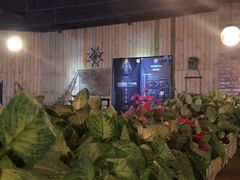 -长藤鬼校(龙翔店)