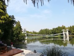 -东湖落雁景区