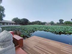 -红花点心局(护国寺店)