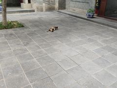 -万寿八仙宫