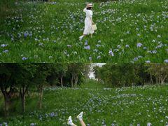 -白鹭湾湿地公园