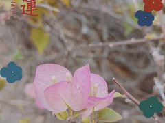 -浈阳坊旅游小镇
