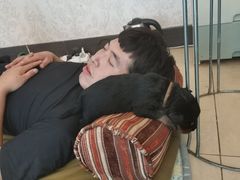 -北京京卫宠物寄养训练中心