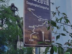 -长虫山生态公园风景林