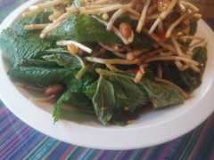 薄荷叶凉拌鱼腥草-呐咪傣园·云南菜(石厦店)