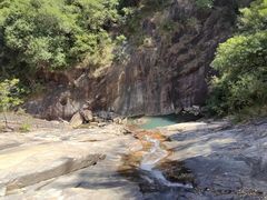 -广州白江湖森林公园