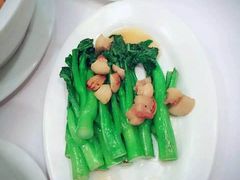 -莲苑中餐厅·Lotus Court(厦门马哥孛罗东方大酒店)