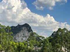 -黄海国家森林公园
