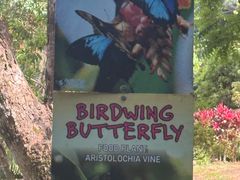 -热带雨林自然公园