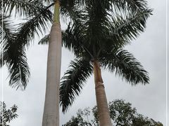 -广州市白云山风景名胜区